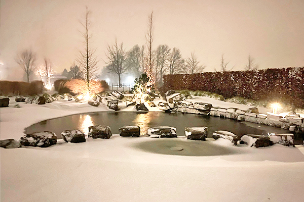 Winter Hondenland
